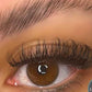 The Leah Lash