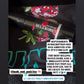 Monthly Subscription box