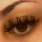 The Aria Lash