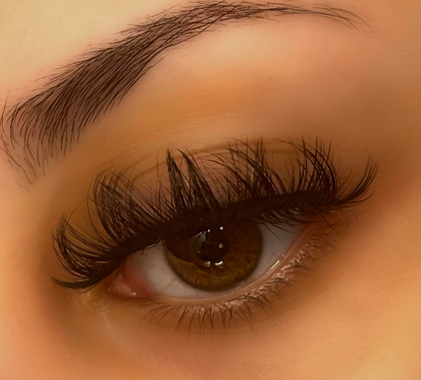 The Aria Lash