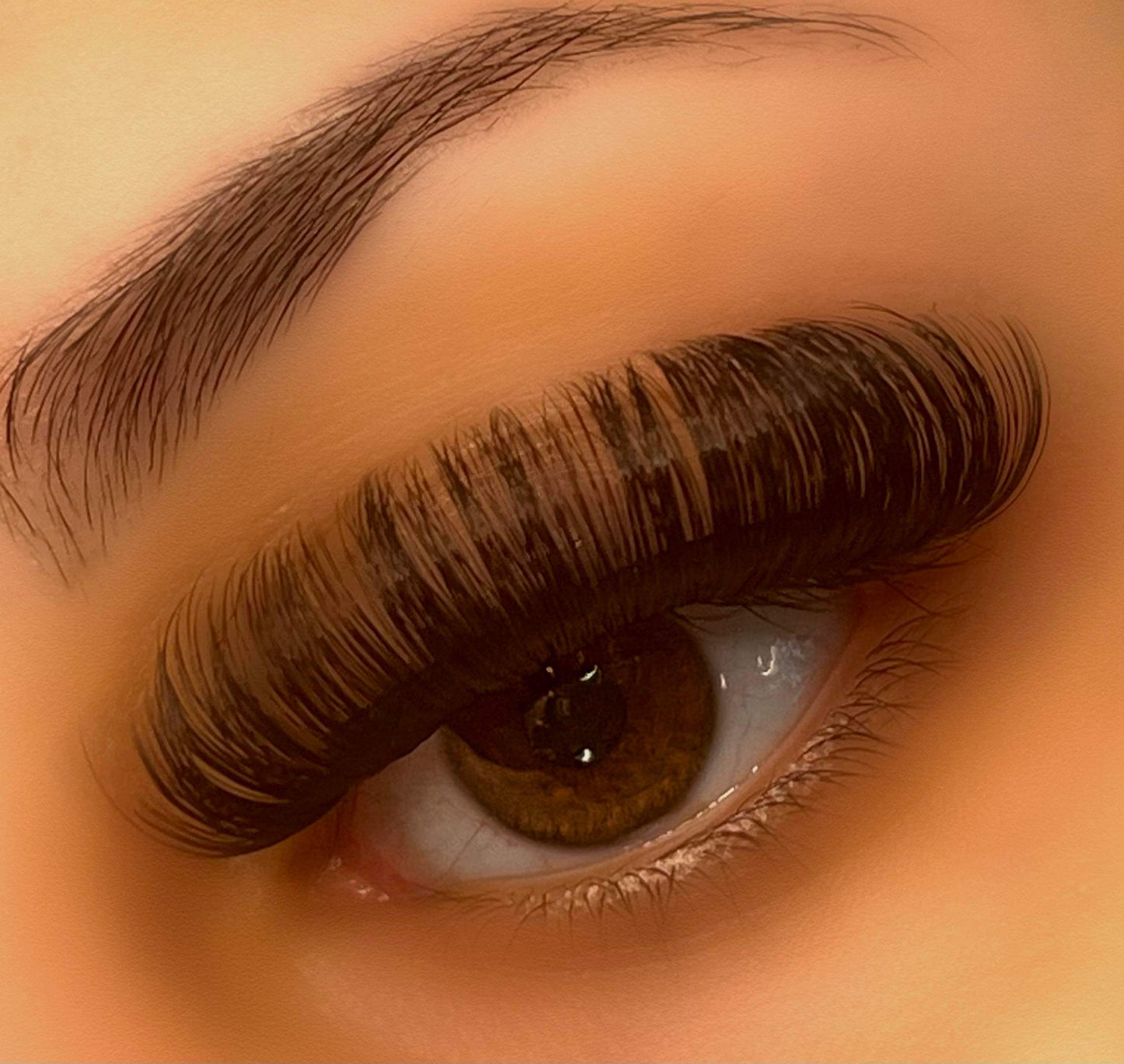 The Rio Lash